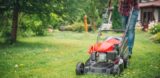 lawn care professional
