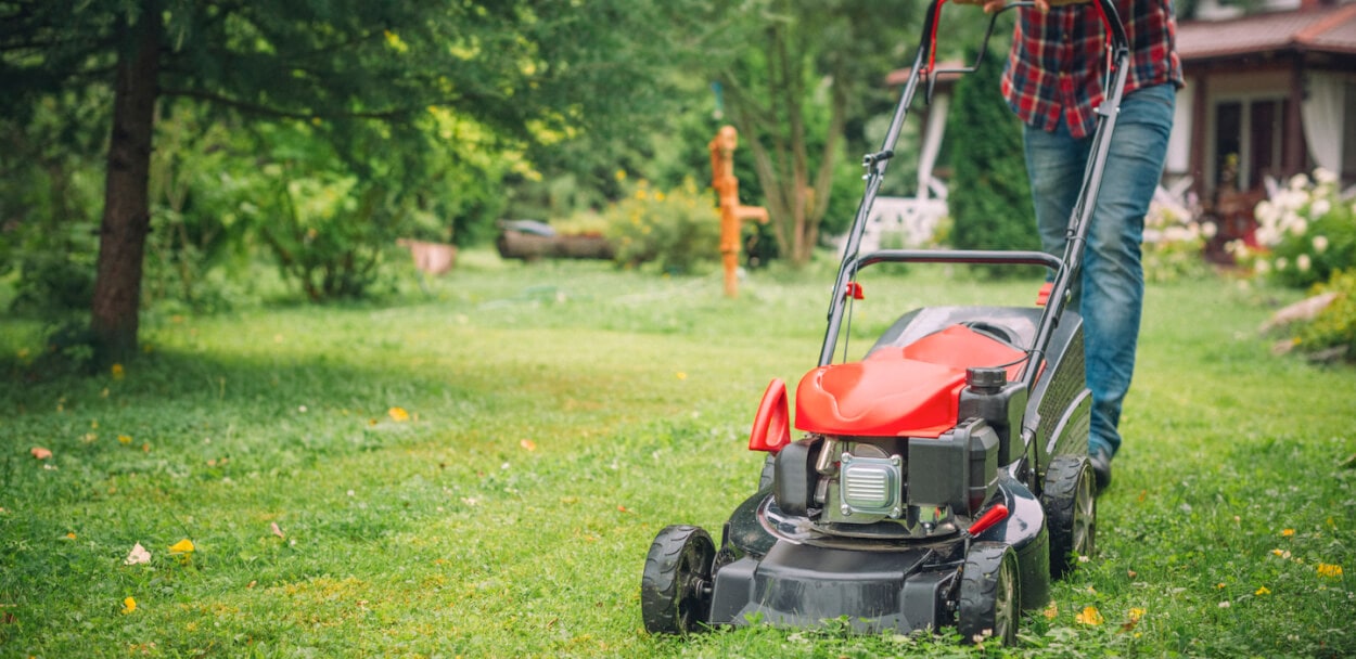 lawn care professional