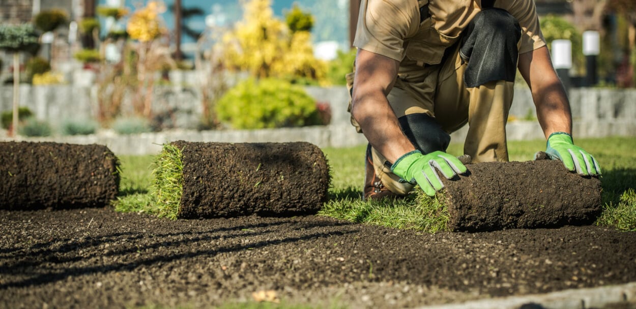 landscaper with his license