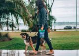 blog-dog-walker-supplies