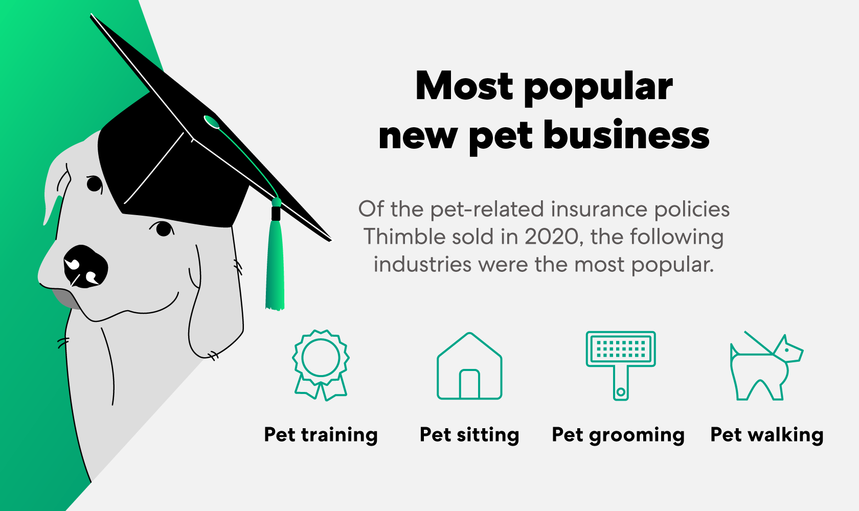 most-popular-new-pet-businesses