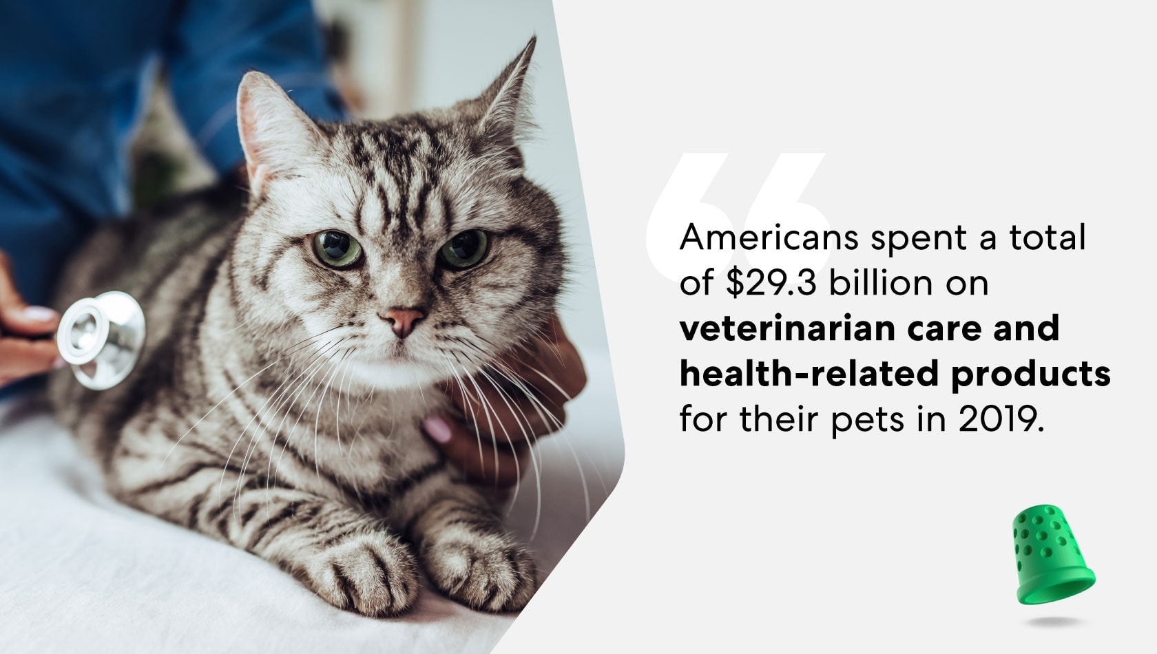 veterinarian-care-health-related-products
