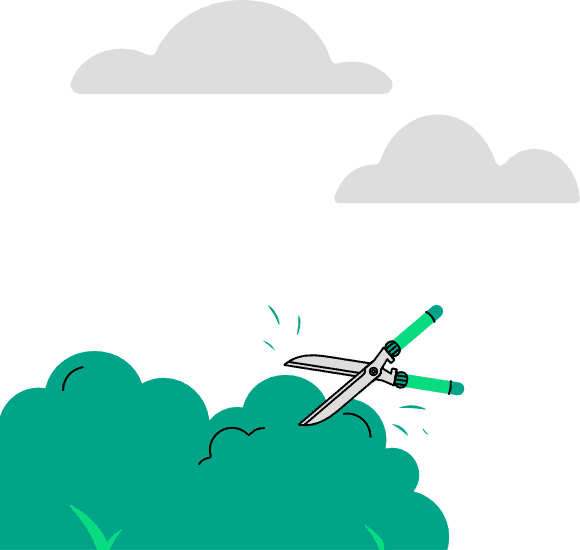 insurance coverage