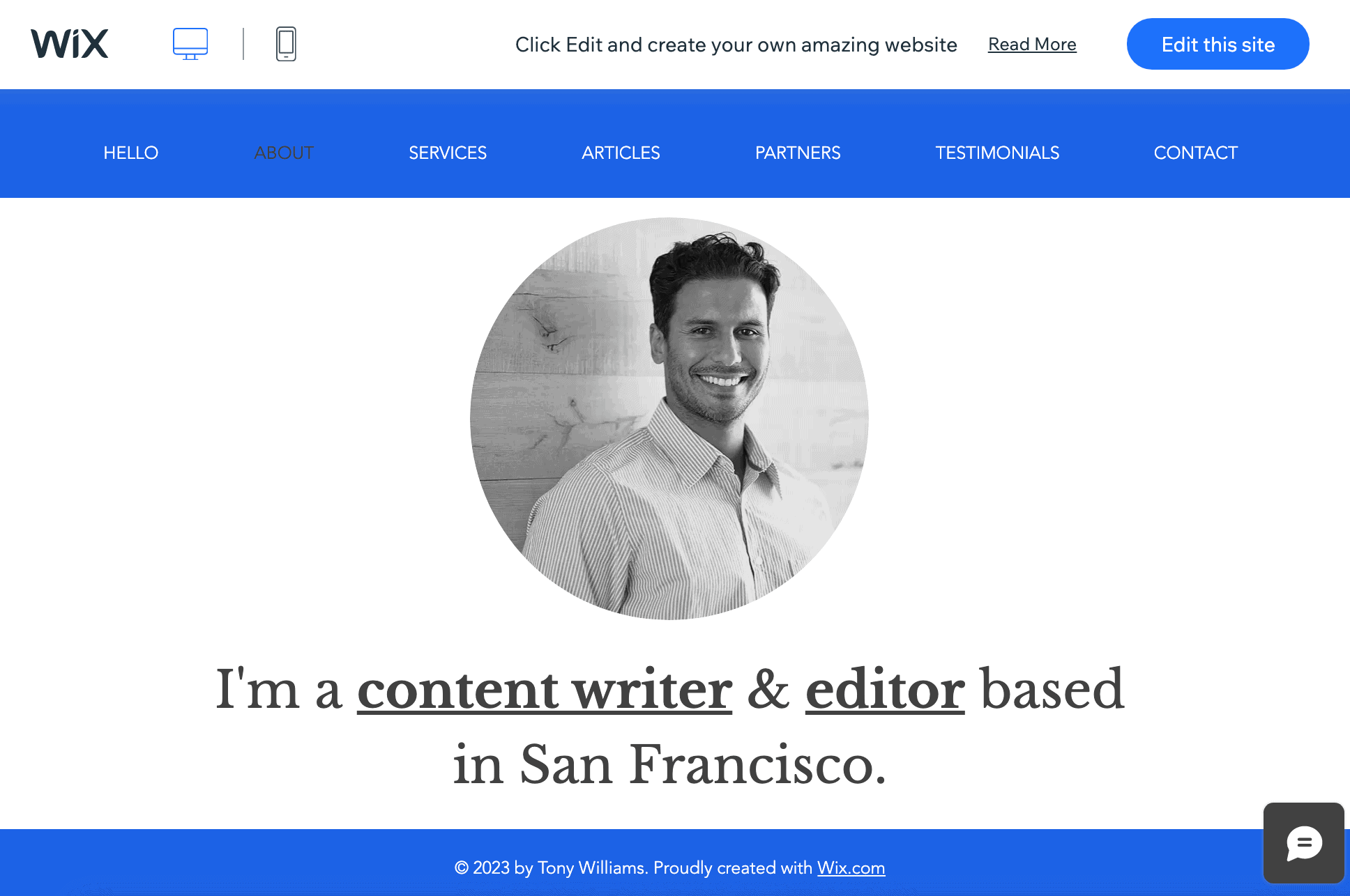 Wix example website