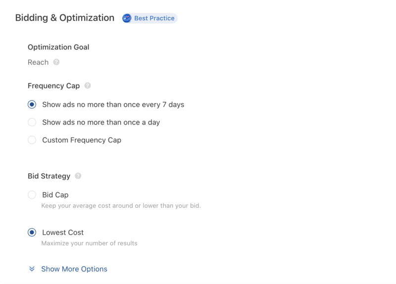 Tiktok Bidding and Optimization